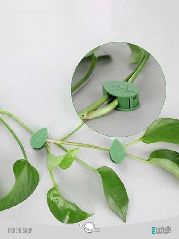 گیره نگهدارنده گل و گیاه Flower and plant holder clip
