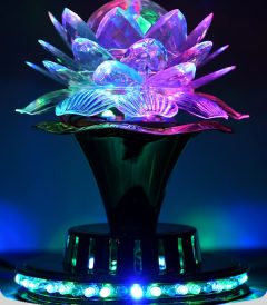 رقص نور طرح گل با رنگ های کامل led full color rotating lamp